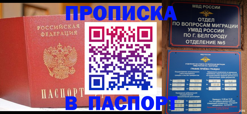 временная регистрация в квартире в Брянской области